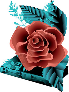玫瑰和天经花瓣礼物红色背景图片