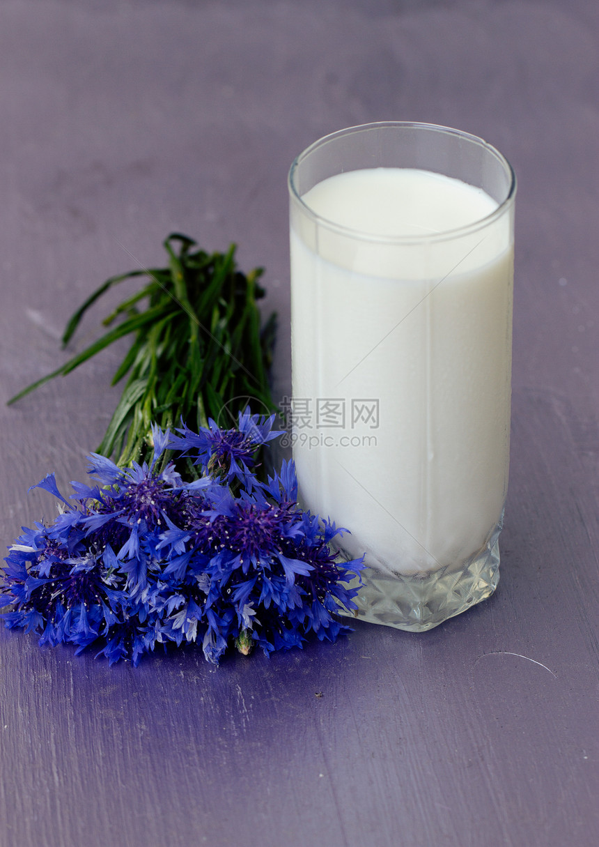 一杯牛奶和一朵花椰枣树液体杯子罐头小麦三叶草桌子水瓶食物奶精野花图片