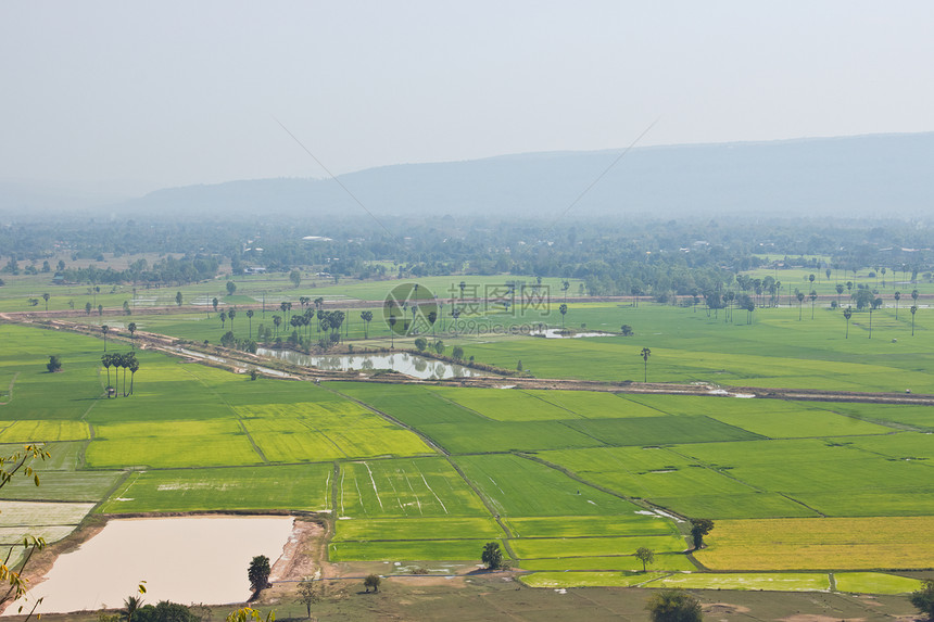 大米田的顶端景象 周围是山和雾谷物旅游脚步智力食物远景灌溉稻田生产坡度图片