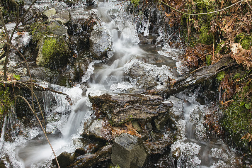 冬季有冰冰的小溪流图片