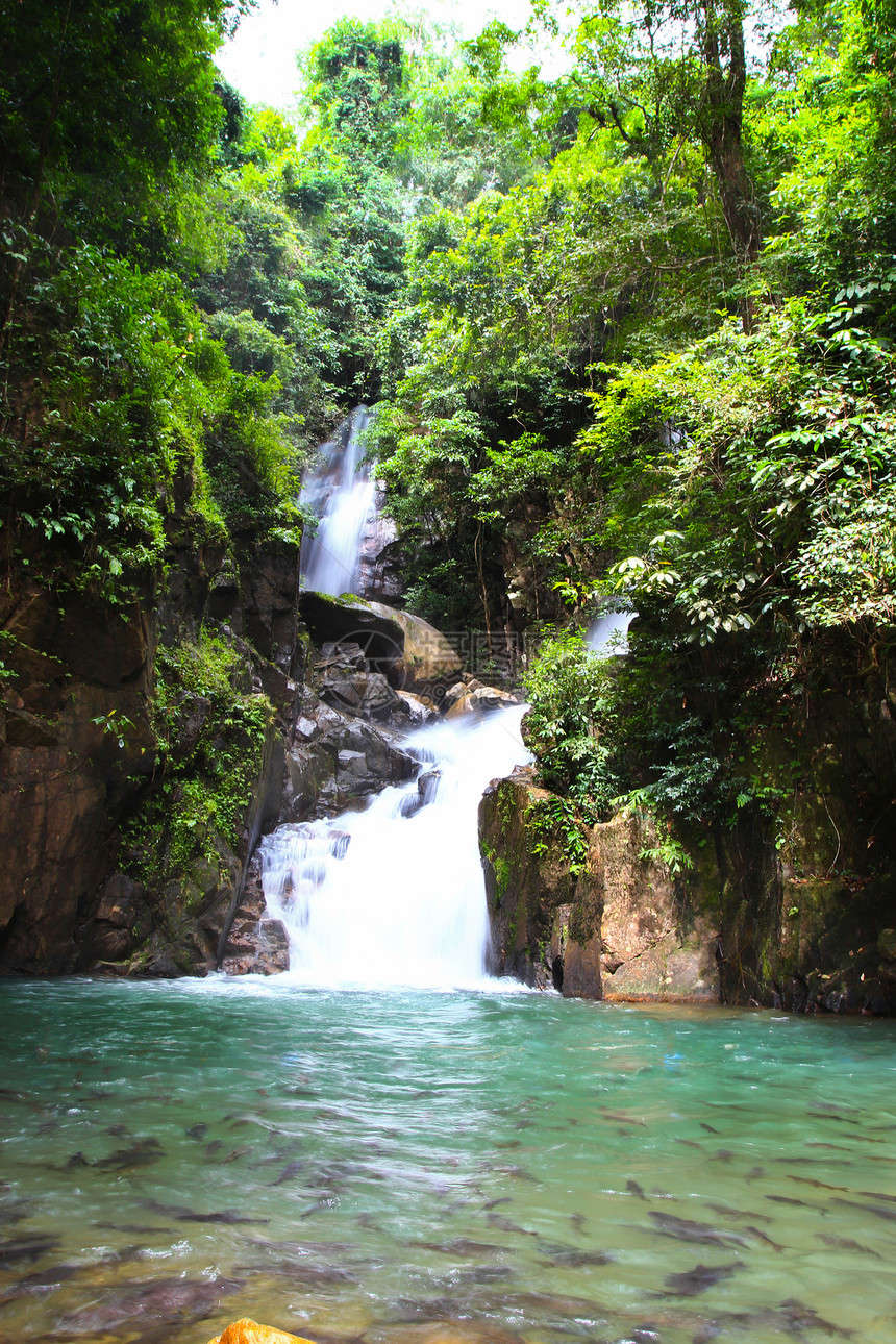国家公园泰国的瀑布植物叶子热带流动丛林木头尖竹小溪溪流美丽图片