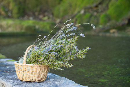 蓝菜篮子水平芳香香味静物草药花朵背景图片