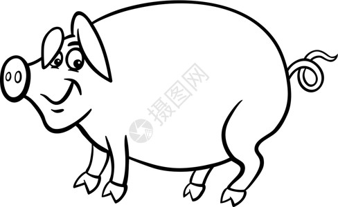 黑与白用于彩色书籍的农猪养猪漫画卡通片白色家畜微笑猪肉配种农场草图插图国家插画