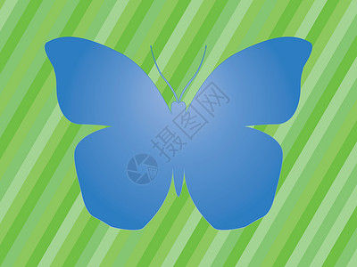 蓝蝴蝶昆虫插图绿色蓝色线条季节条纹卡片背景图片