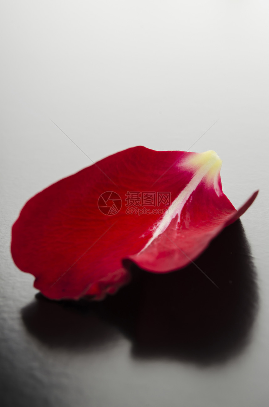 红玫瑰花瓣玫瑰周年奢华浪漫叶子红色婚礼卡片庆典纪念日图片