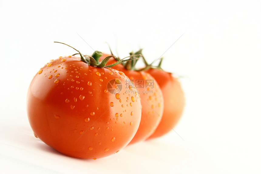 新鲜西红柿红色工作室营养白色蔬菜饮食绿色食物水果图片