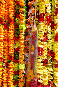 德里市场上的美丽花卉园地背景图片