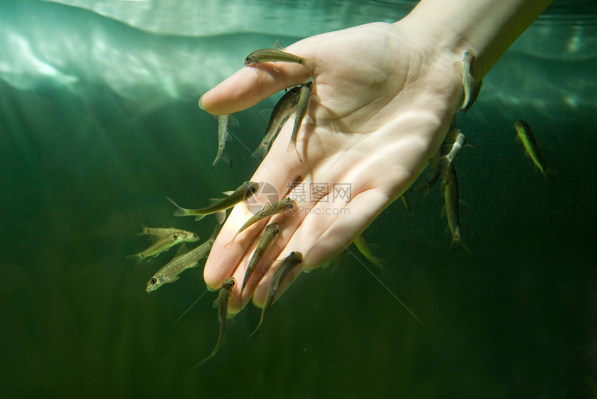 与鱼一起用手拿水为皮肤护理而饮食手指海浪指甲沙龙美甲女孩魅力保健卫生温泉图片