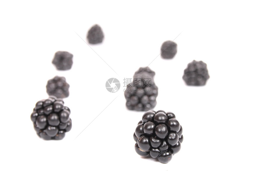 黑莓食物农业水果浆果饮食维生素蓝色绿色种子营养图片