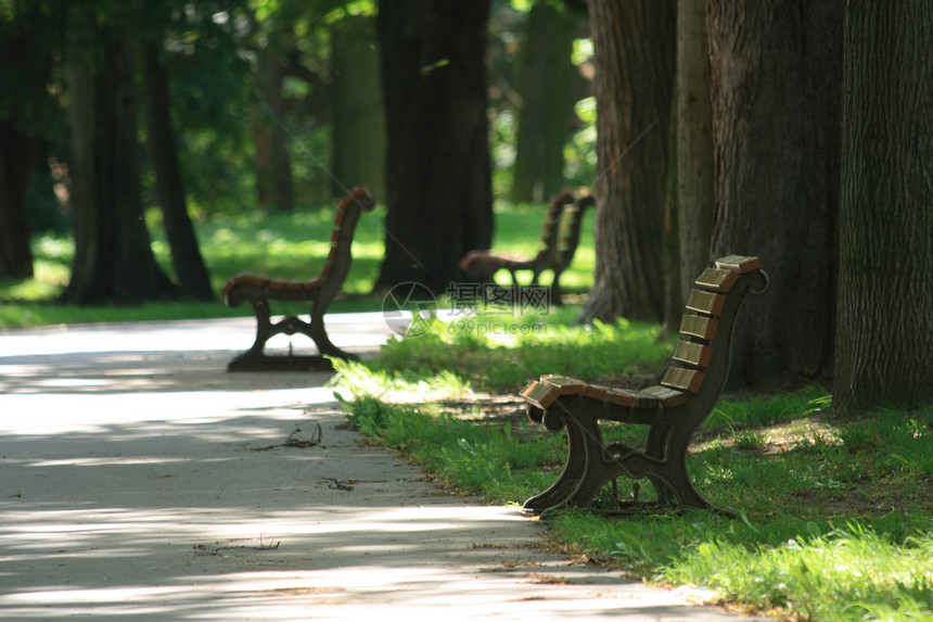 公园里的长凳民众树叶阴影胡同木匠座位娱乐植物群木头花园图片