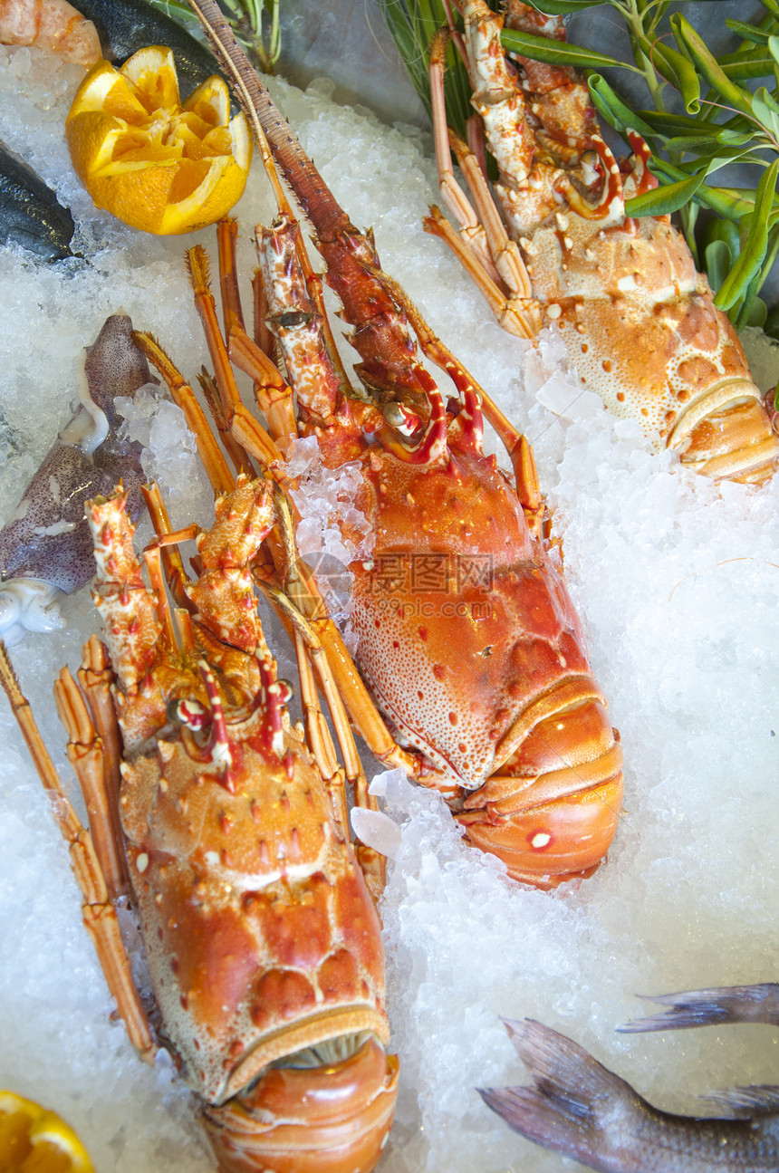海食乌贼美食章鱼橙子盘子饮食盐水菜单海鲜市场图片