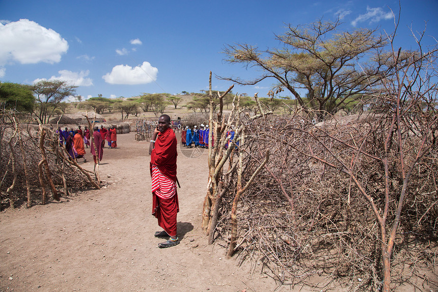 Maasai人及其在非洲坦桑尼亚的村落图片