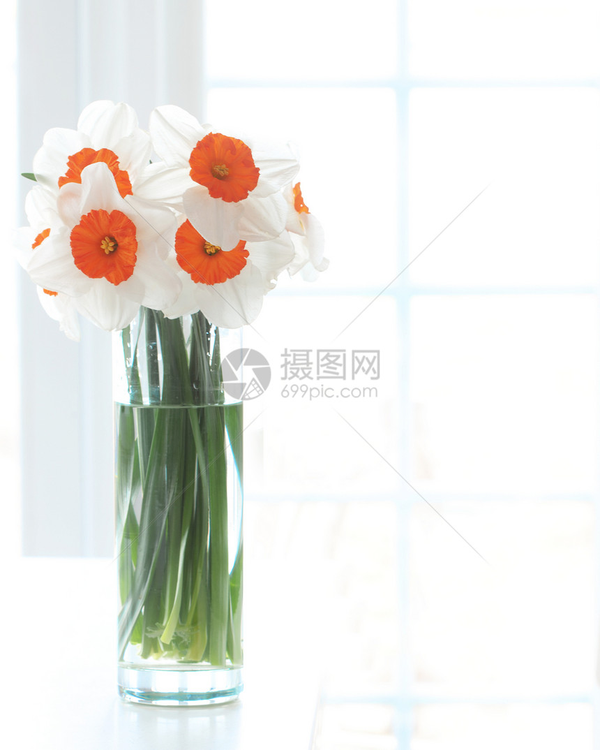 水仙子体窗户季节性花朵白色绿色玻璃桌子草本花瓶水仙花图片
