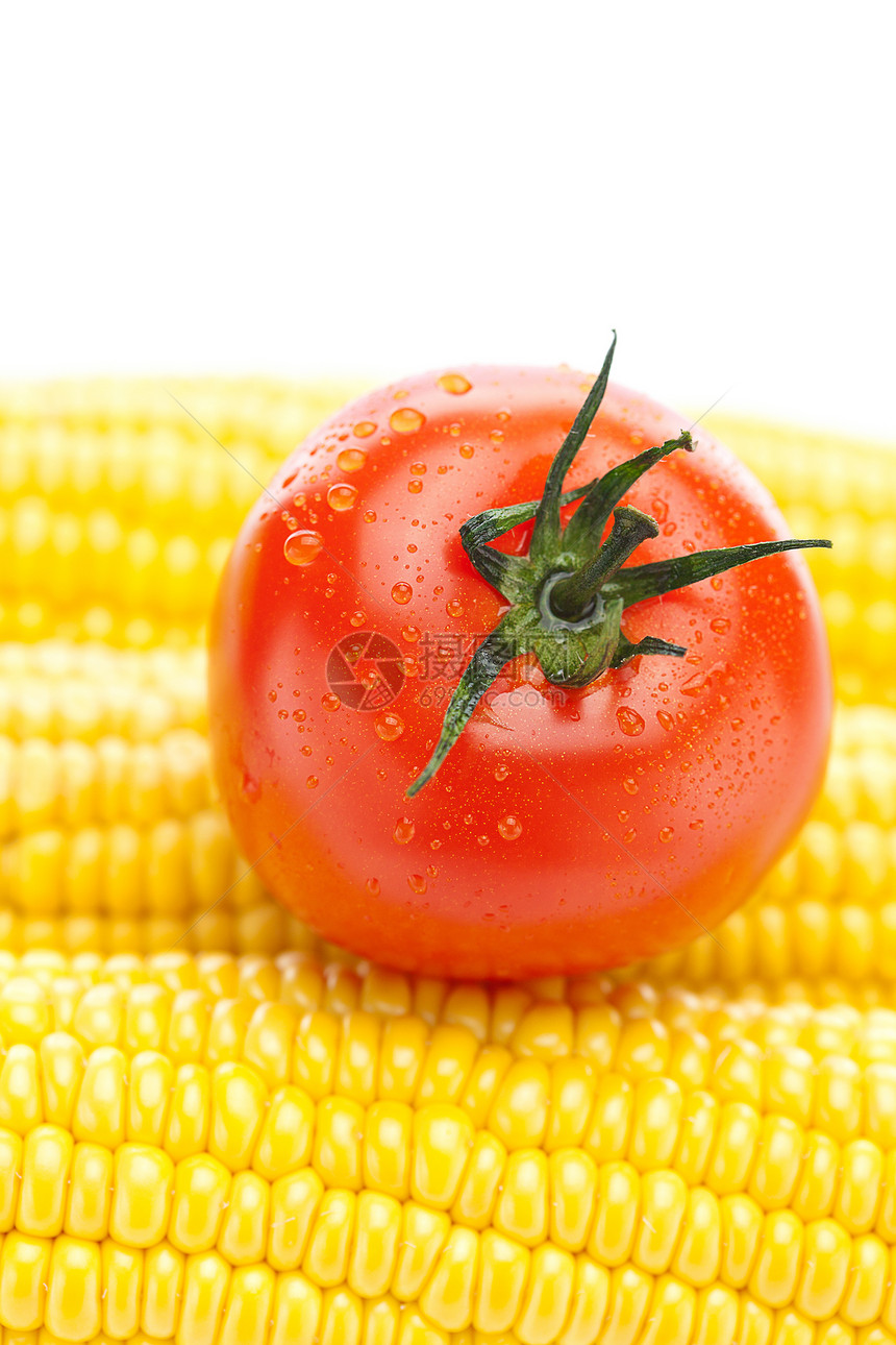 熟黄玉米和番茄背景谷物棒子营养场地耳朵生活丝绸蔬菜叶子食物图片