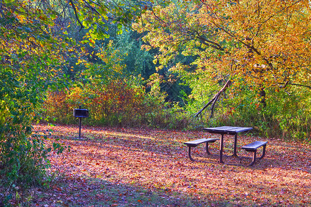 十月一台历桌签高动态区域野营区图像季节性风景草地树叶烧烤天空农村营地叶子餐桌背景