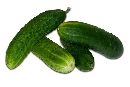 白黄瓜植被产品蔬菜绿色农作物水果背景图片