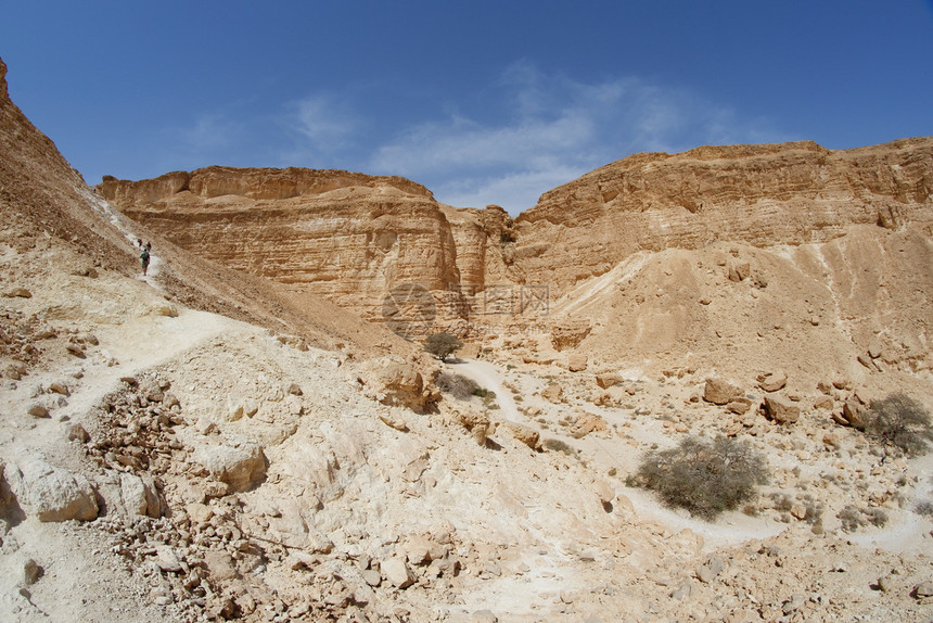 通往沙漠峡谷(以色列死海附近的Nahal Barak)山丘的道路图片