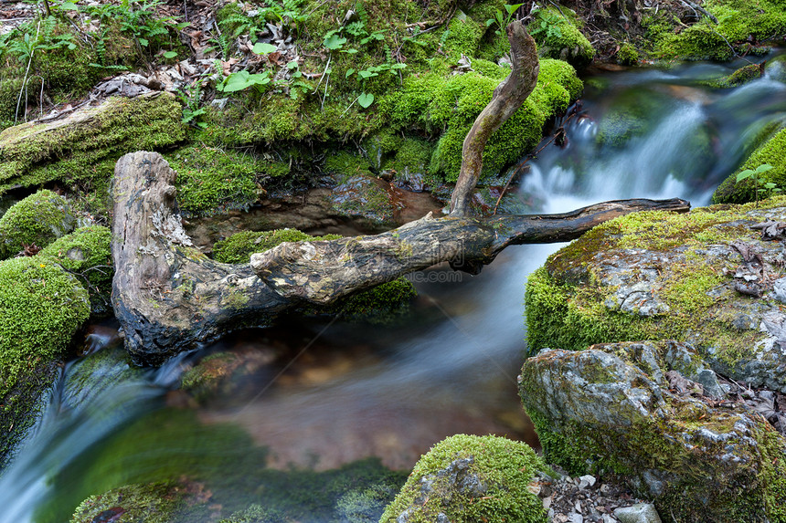 水流在岩石上植物流动森林季节苔藓树木山脉公园远足石头图片