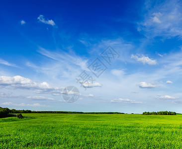 春夏新风上春夏夏季绿地风景场地森林田园草地植物日光绿色天空太阳概念背景