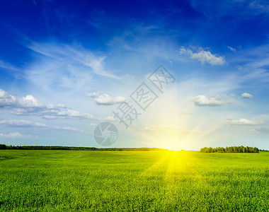 春夏新风上春夏夏季绿地风景天空田园风光草地场地晴天绿色乡村日光概念背景