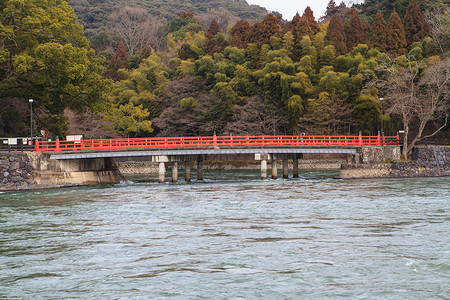 水面上的红桥人行道池塘花园农村风景灌木丛叶子公园天桥树木背景