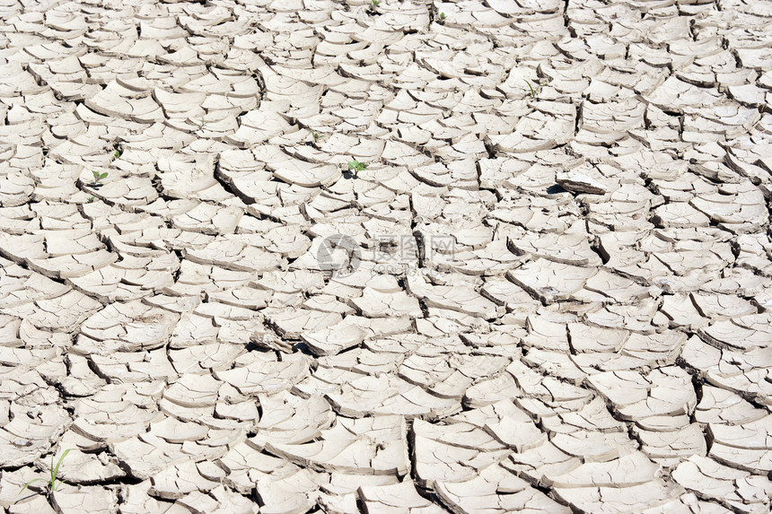 旱季  干地天气破坏性裂缝热带生态环境干旱地球灾难荒地图片