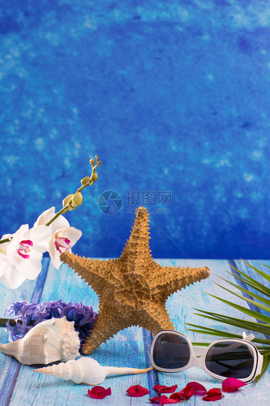 带青柳花和白兰花的海贝壳贝壳植物紫色季节棕榈太阳镜花束植物学植物群生日图片