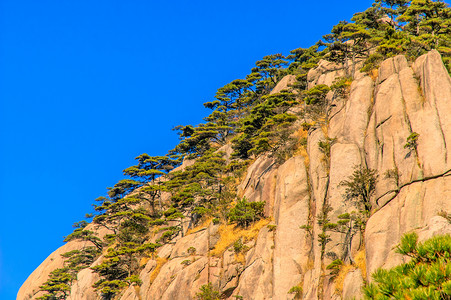 黄山和树蓝色旅游历史日落网站石头文化太阳晴天树木温暖的高清图片素材