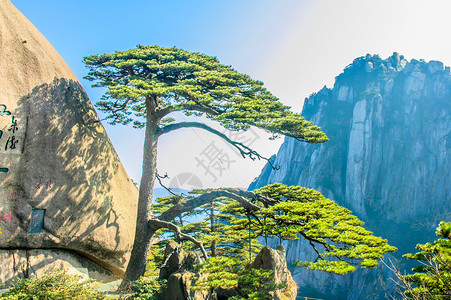黄山和树文化日落风景历史太阳晴天旅游蓝色石头树木天空高清图片素材