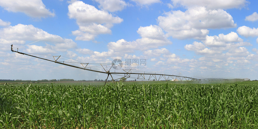 用于农业的灌溉系统线圈培育管道农民干旱蓝色压力生态技术玉米图片
