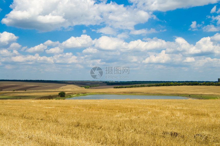 农村观点村庄生态农业收获天际草原林带稻草色茬地蓝色图片