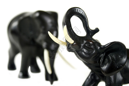 2个大象素材黑大象2背景
