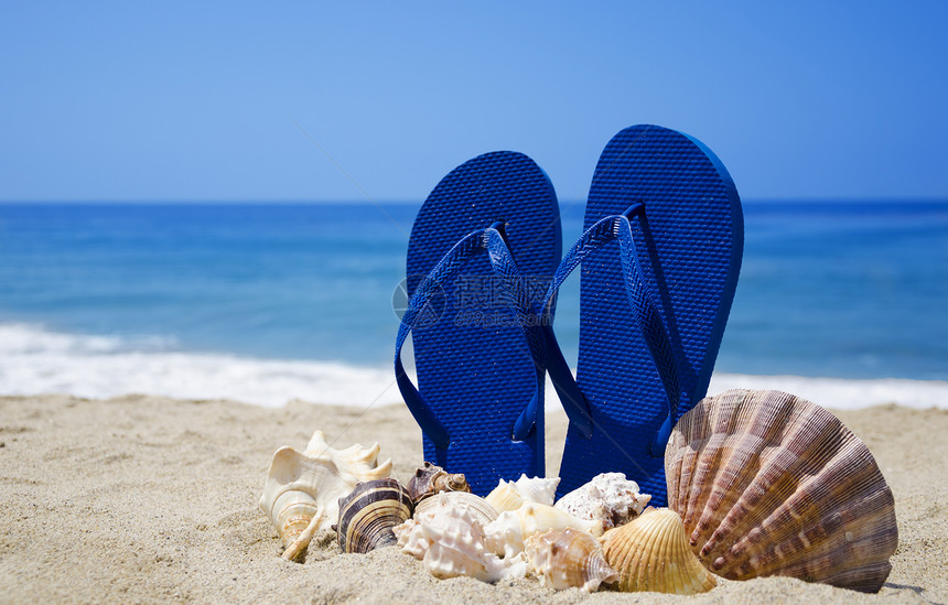 沙沙滩上贴有贝壳的滑坡拖鞋图片