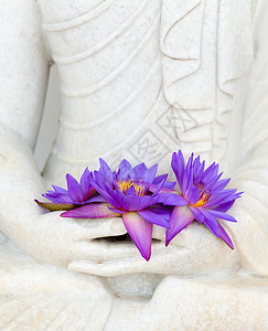 手与莲花素材棕榈蓝色的高清图片