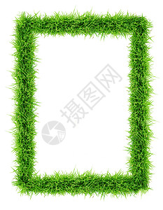 草根框架相框草地正方形场地植物叶子长方形绿色草皮镜框背景图片
