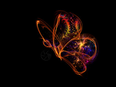 蝴蝶设计火焰创造力轻轨装饰品插图数学昆虫元素背景图片