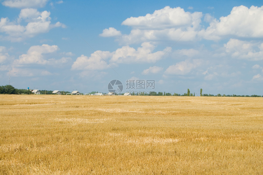 伐木后田地场地耕作耕地远景农场生态沟壑农业蓝色村庄图片