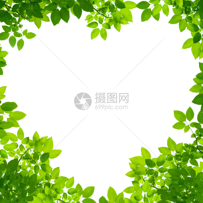 白色背景的心形绿色叶子图片