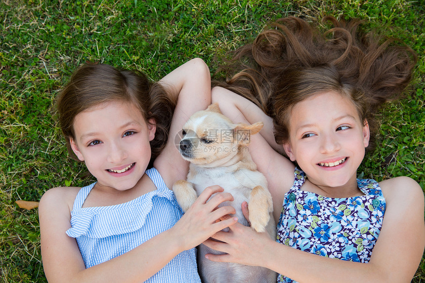 姐妹姊妹在草坪上玩吉娃娃狗童年后院快乐家庭婴儿孩子们毛皮尺寸草地友谊图片