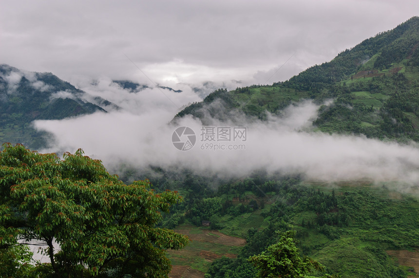 山中的雾雾风景彩色旅游水平树木山脉照片图片