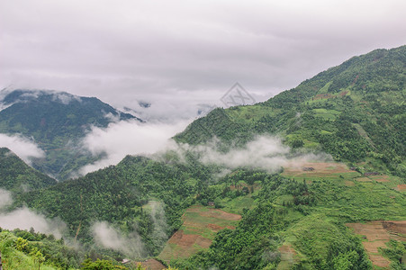 山中的雾雾彩色水平风景树木旅游山脉照片背景图片