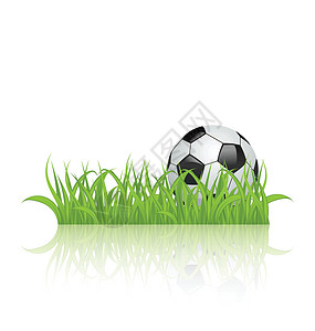 白底驱蚊草白底孤立的草地上的足球球插画
