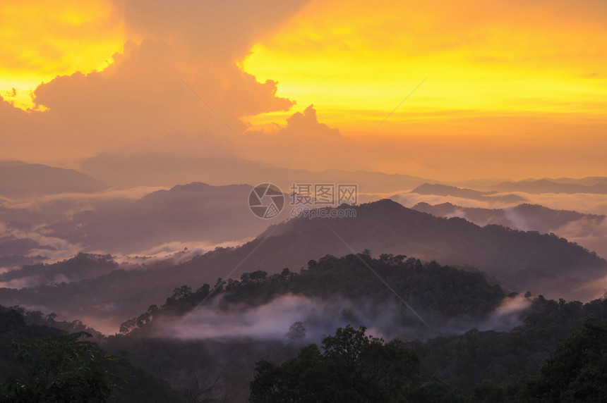 日落光束在泰国的森林上图片