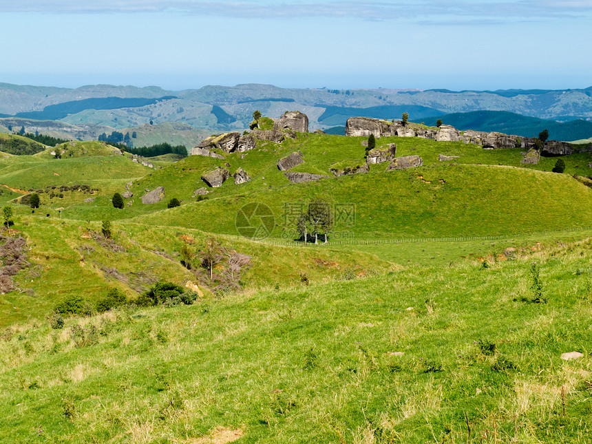 农场地貌景观场景 Hawkes Bay 新西兰荒野牧场农村崎岖丘陵环境孤独风景编队农业图片