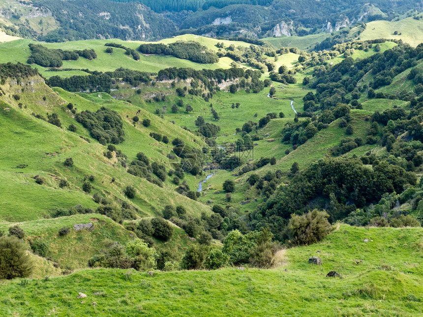 农场地貌景观场景 Hawkes Bay 新西兰丘陵地形编队环境荒野岩石农业山坡农村图片
