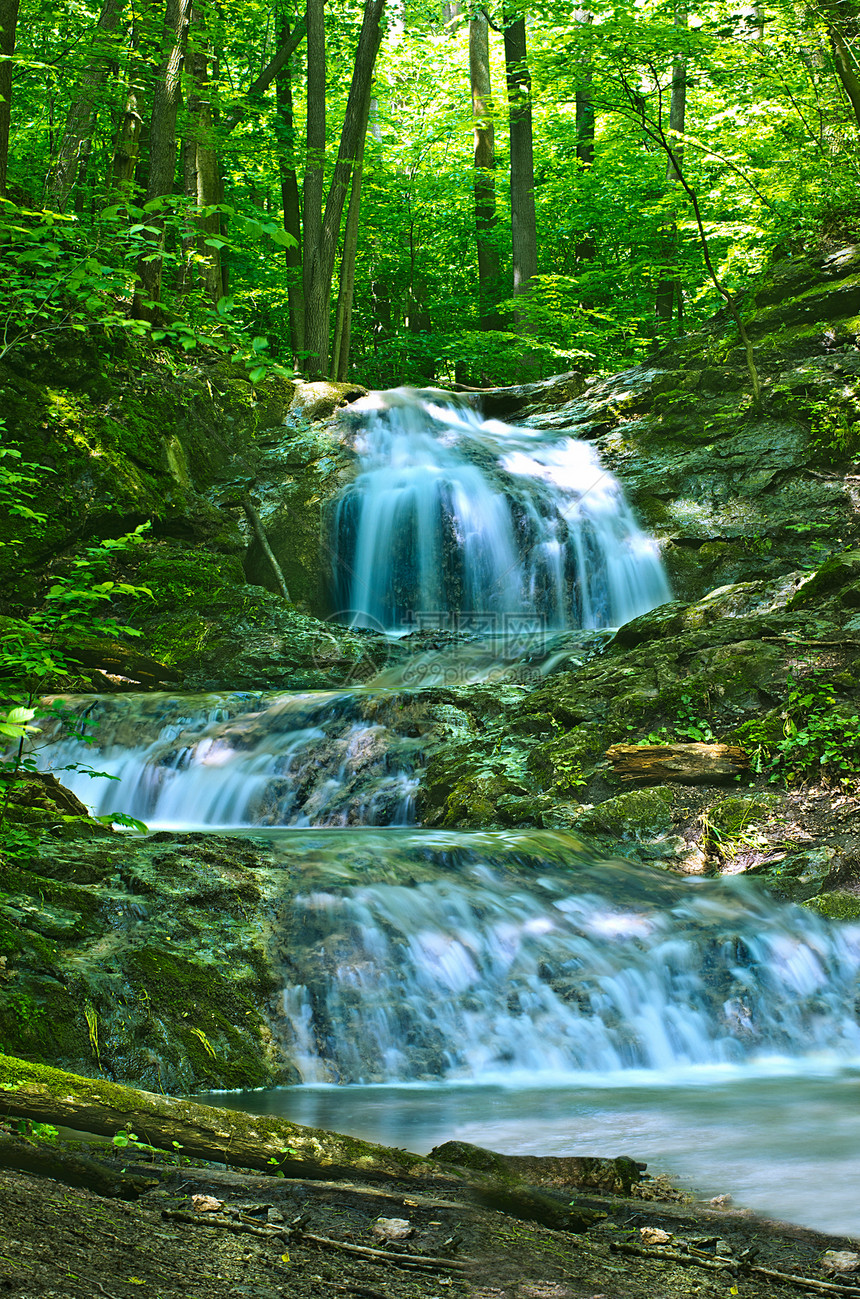 水瀑巨石苔藓生态叶子森林瀑布公园岩石运动木头图片