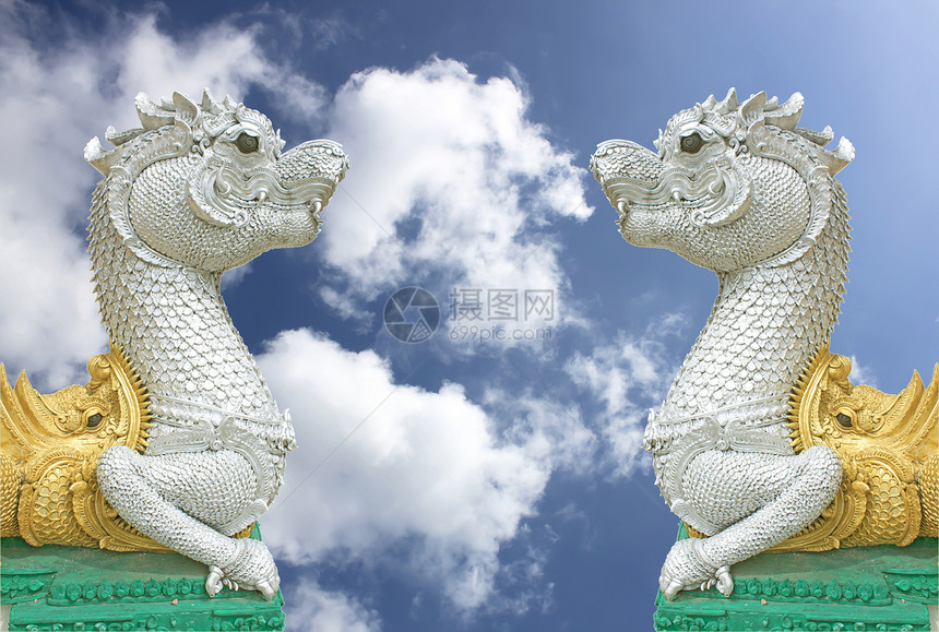 泰国天蛇图片