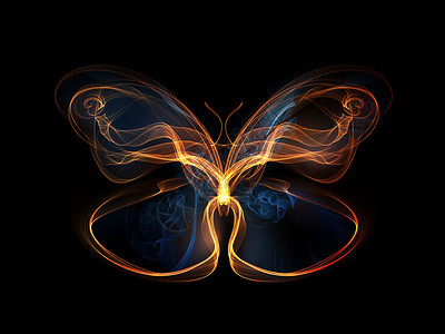 蝴蝶元素想像力数学创造力黑色轻轨翅膀昆虫背景图片