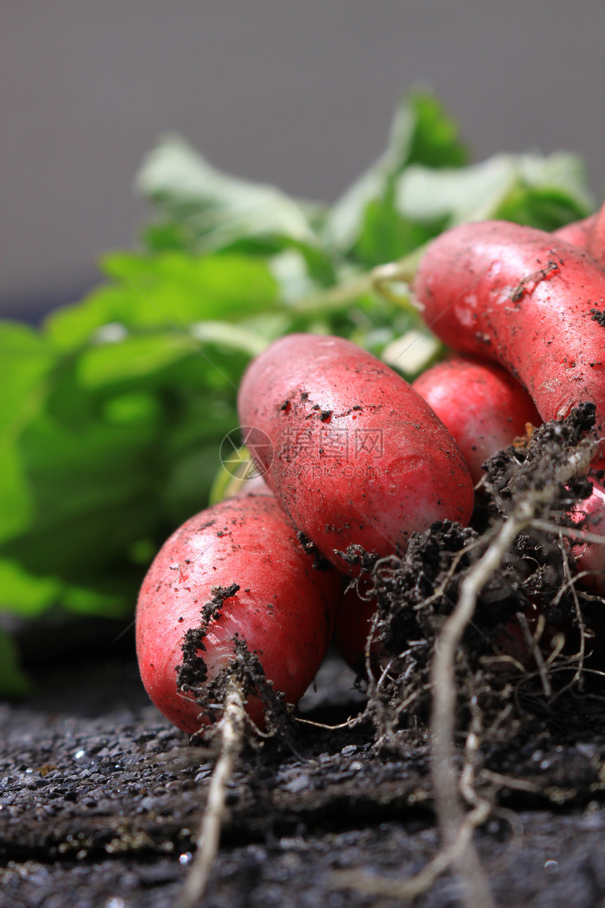 半紫蔬菜团体绿色植物生产萝卜营养叶子红色食物图片
