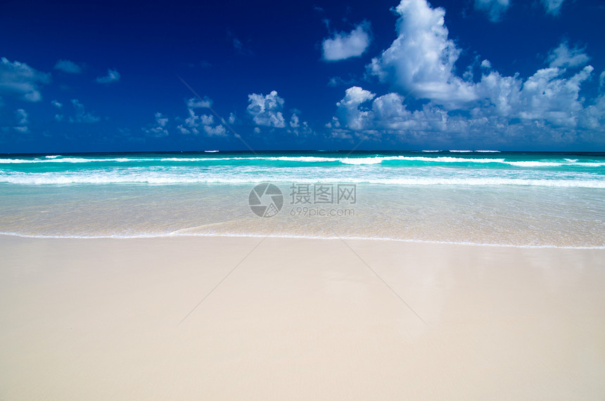 热带海洋风景海岸线棕榈蓝色场景波纹气候椰子旅行地平线图片